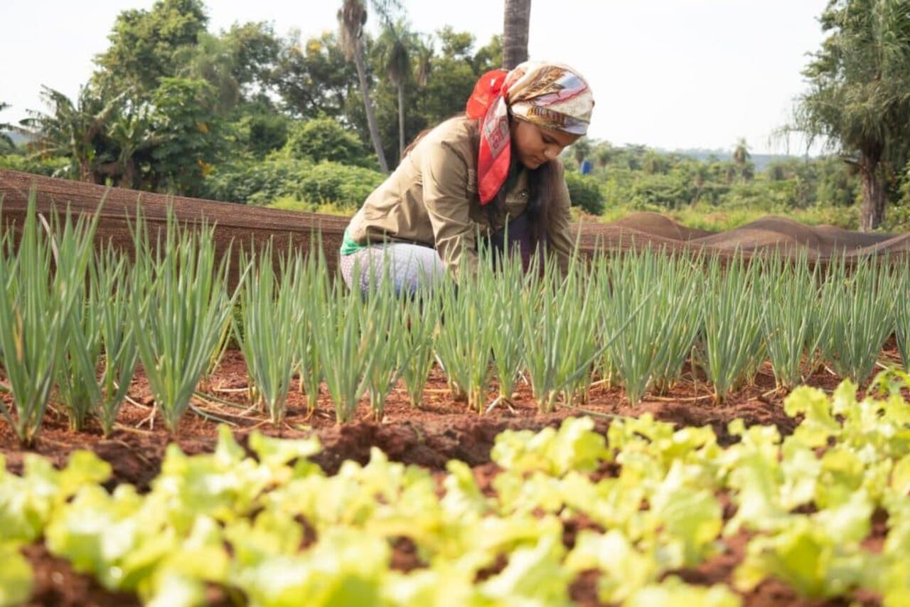El rol fundamental de la mujer en la agricultura