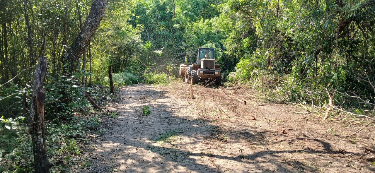 Personal del Comando de Ingeniería realiza apertura de picada, perfilado de camino y colocación de alcantarillas en un tramo total de cinco kilómetros.