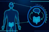 El segundo cerebro: cómo el intestino cambia tus emociones y tu bienestar