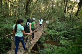 Entrar a la naturaleza y descubrir sus secretos lejos del ruido urbano