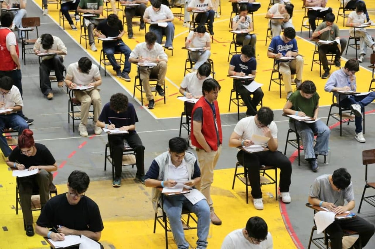 El 50% de los postulantes proviene de colegios públicos o subvencionados de nuestro país, ytodos tienen un alto nivel de inglés.