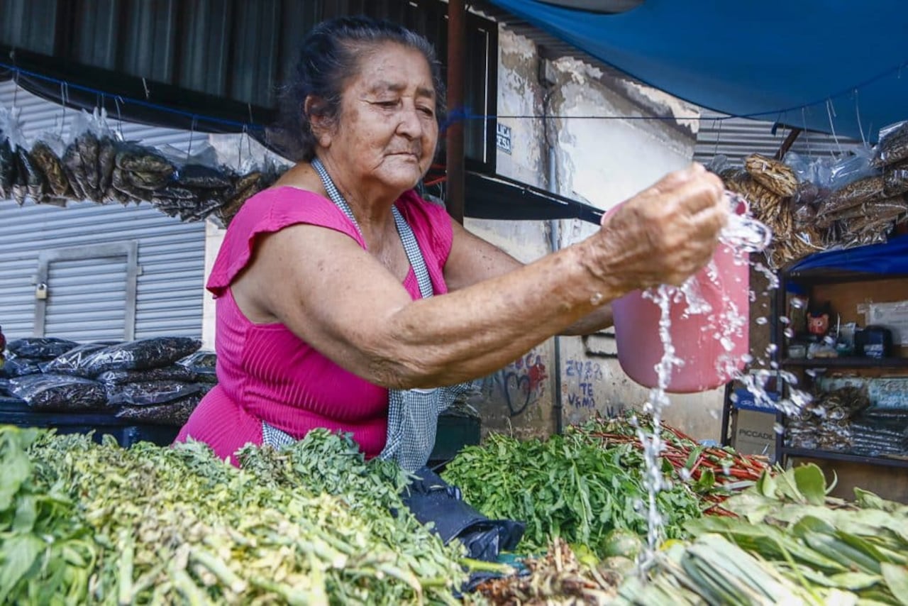 Ña Simeona Acosta, vendedora, también dejó sus recomendaciones.