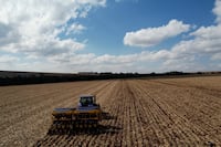 El campo resiste al frío: Sigue la alerta agrometeorológica sin reporte de daños