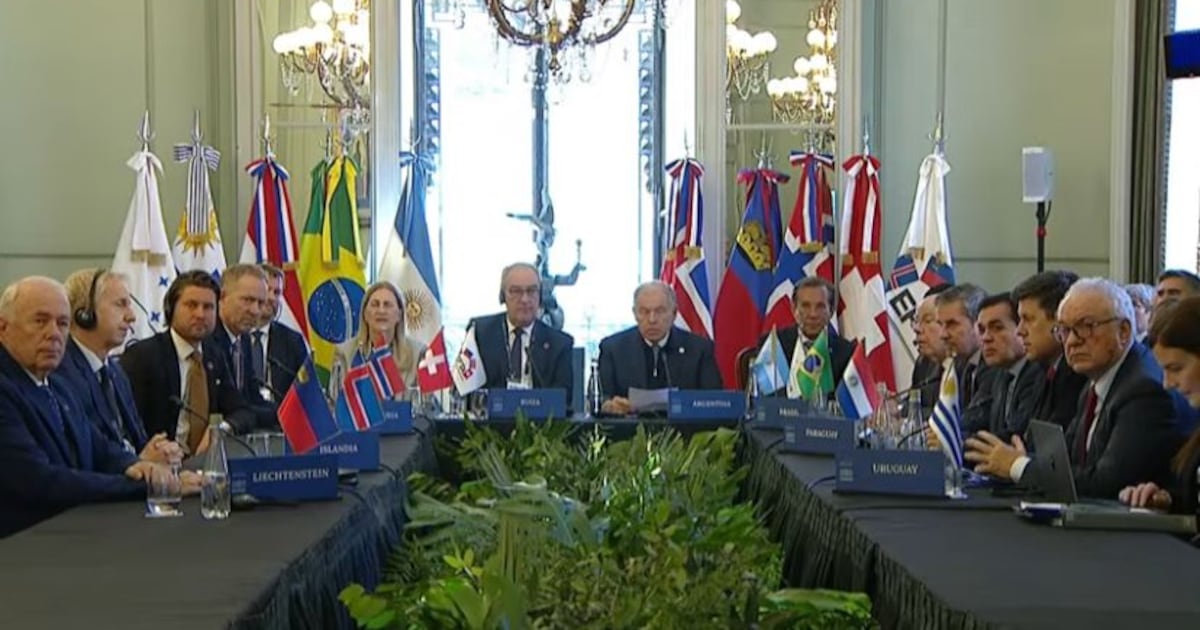 Referendo potencial sobre el acuerdo Mercosur-EFTA