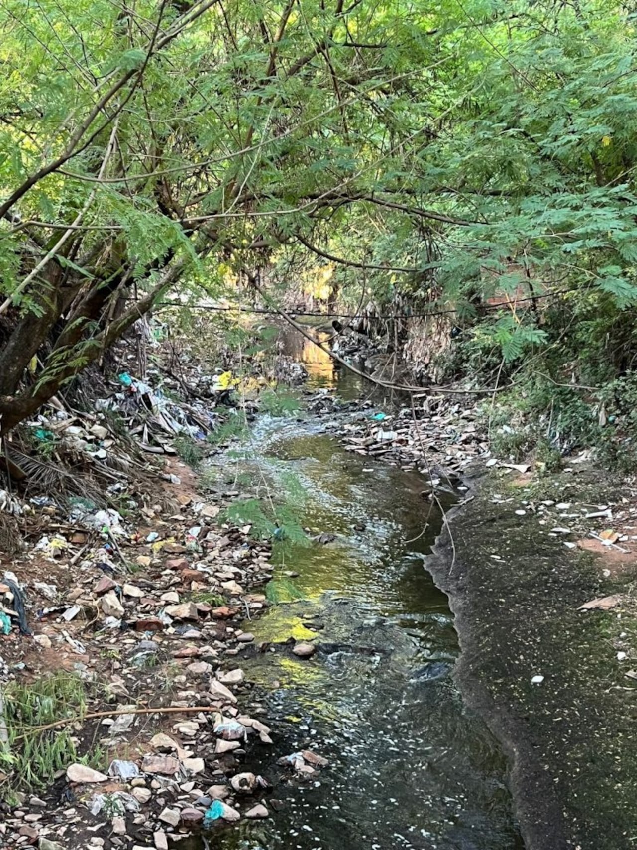 Arroyo Lambaré contaminado. Foto: Redes Sociales