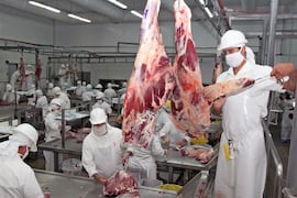 Foro MERCOSUR de la Carne reclama una distribución más justa de las cuotas para Paraguay