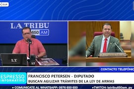 Diputado pide reglamentar la nueva Ley de Armas