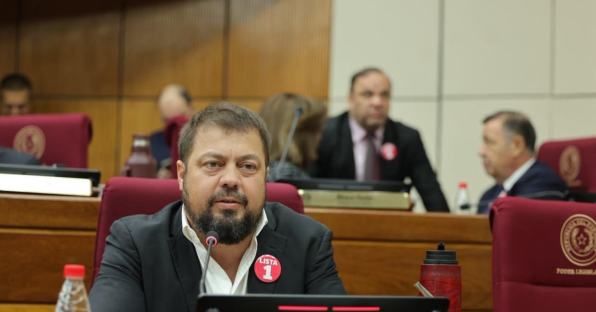 Senado citará a ministra de Trabajo para discutir despidos en Sudameris