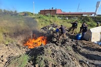 Incineran dos cargas de marihuana premium