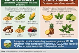 Cinco rubros concentran el 90% de las ventas de la agricultura familiar
