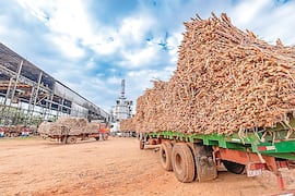 Planta de Troche proyecta inyección de G. 98.000 millones
