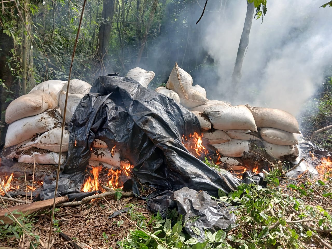 La droga fue incinerada en la el lugar intervenido.