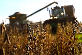 Soja industrializada genera USD 997 millones y crece 20% hasta agosto
