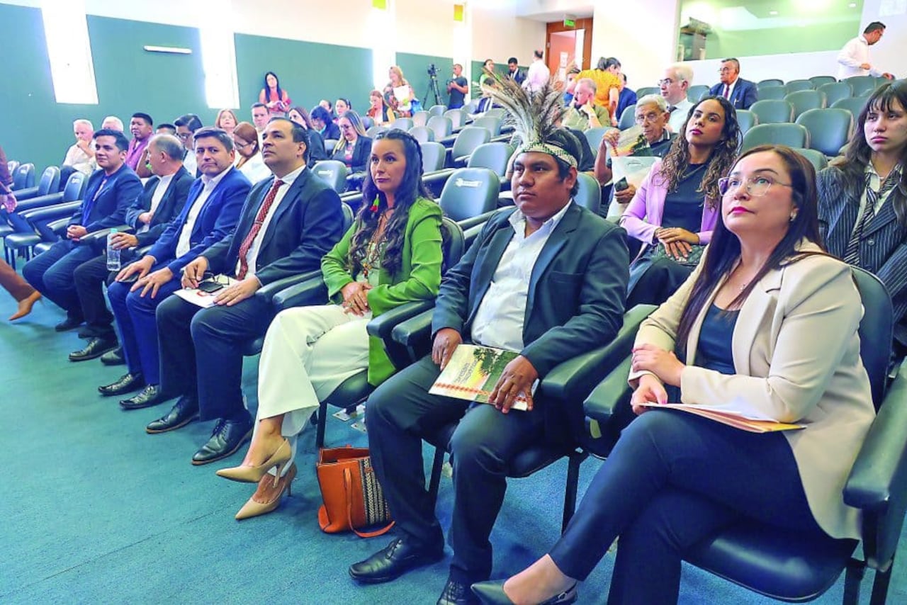 La gestión lingüística del Gobierno es emprendida en trabajos en equipo de funcionarios de la SPL que viajan a las comunidades nativas.