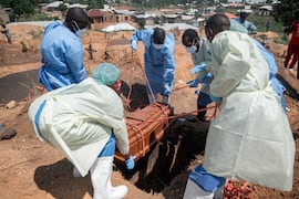 La OMS probará dos terapias para bajar muertes por ébola en Congo