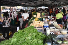 Once ferias apoyarán a 400 familias campesinas