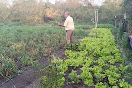 El Niño podría afectar a 10.000 productores de agricultura familiar en Paraguay, según el MAG