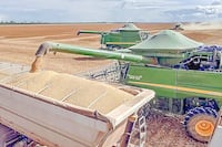 La soja crece casi 40% en sus envíos y suma USD 1.929 millones a abril