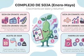 Ventas de la soja marcan récord histórico y fortalecen la economía