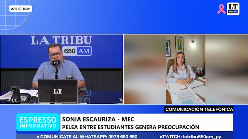 Los hechos de violencia que involucran a estudiantes secundarios responden a una compleja problemática social, sostuvo la directora general de Protección de los Derechos de la Niñez y Adolescencia del Ministerio de Educación y Ciencias (MEC), Sonia Escauriza.