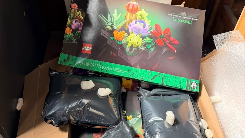 Agentes de la DNIT hallaron 5,2 kilogramos de presunta marihuana oculta dentro de una caja de juguetes en el Aeropuerto Internacional Silvio Pettirossi.