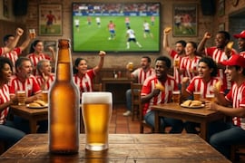 Bodegueros proyectan una masiva inyección comercial ante el inicio del mundial