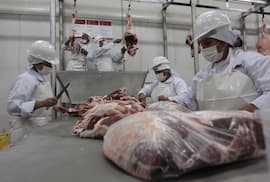 Sector cárnico: más ingresos y calidad, pero menor faenamiento