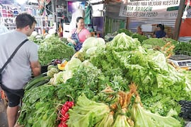 El crecimiento macroeconómico no desplaza el límite de la pobreza