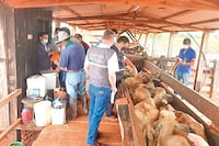 OMSA aprueba el marco veterinario de Paraguay