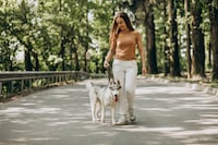 Pasear al perro también puede cuidar tu salud