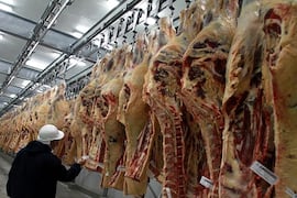 Carne bovina sostiene ingresos en el exterior