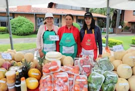 CAH supera los G. 488.000 millones desembolsados