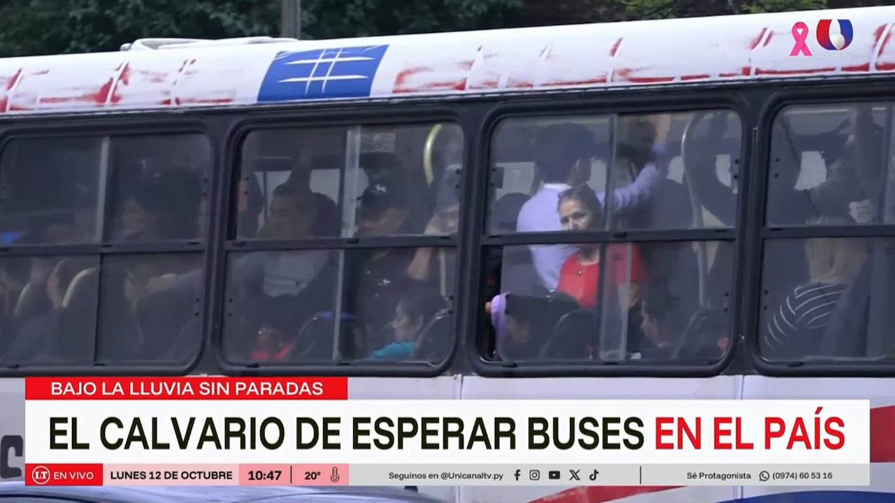 A la falta de paradas, se le suma la poca frecuencia de buses.