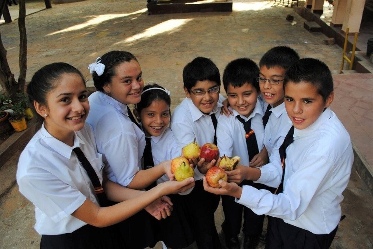 Entre las opciones sugeridas para el recreo figuran las frutas frescas.