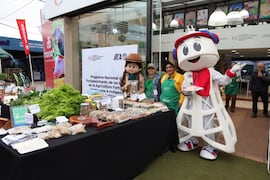 La feria del MAG benefició a 550 familias en la Expo Paraguay ARP 2026