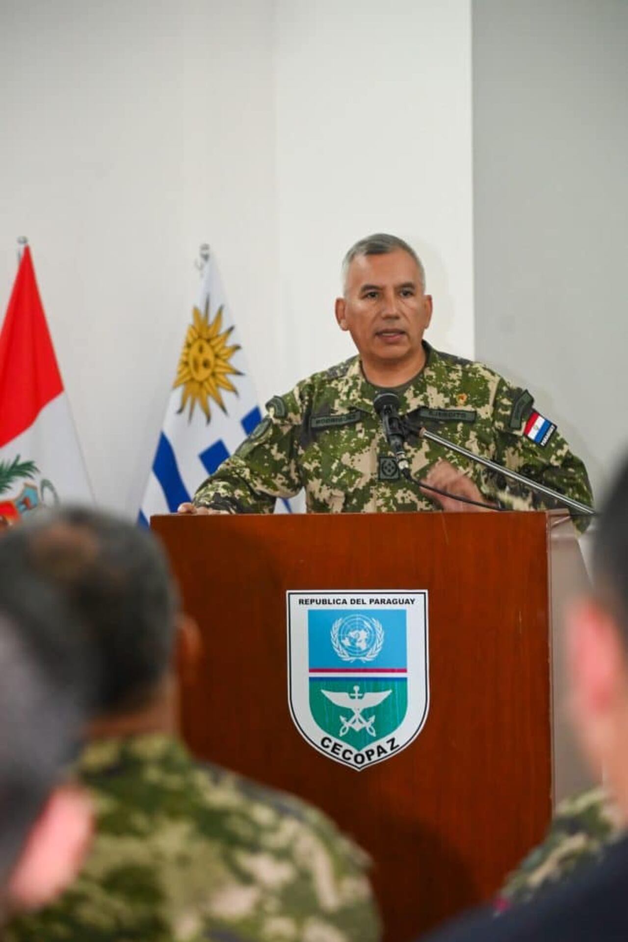 Gral Ej Manuel Rodríguez, Comandante del Ejército.