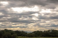 Lunes caluroso con vientos del noreste y máximas de 33 grados