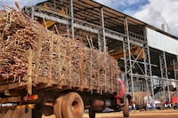 Planta de Troche logra histórico ritmo de molienda