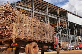 Planta de Troche logra histórico ritmo de molienda