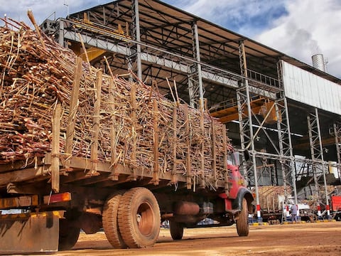 Planta de Troche logra histórico ritmo de molienda