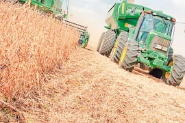 Lluvias traen alivio a tierras productivas