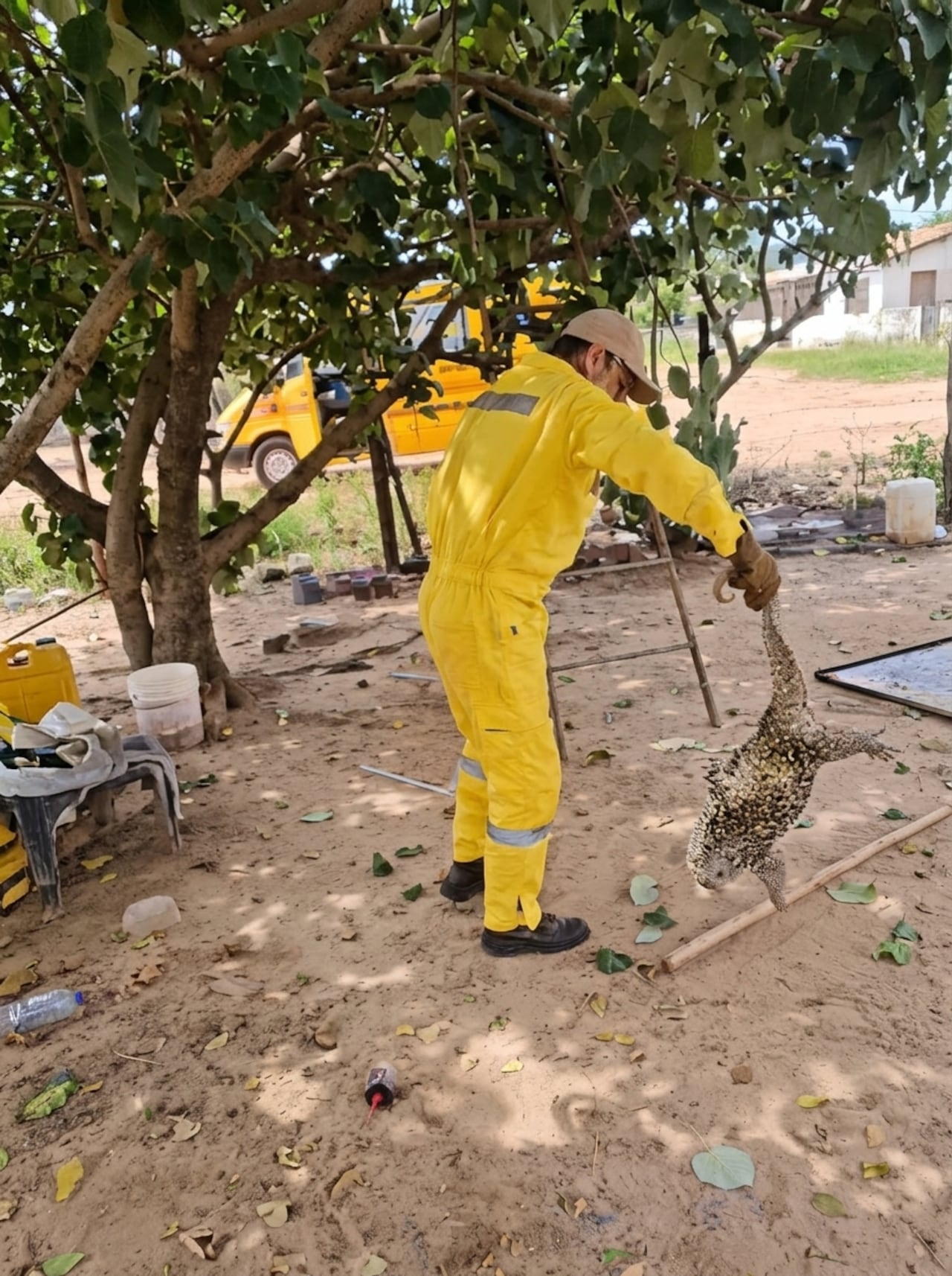 La fauna se ha desplazado debido a la crecida del río / Foto Corresponsal