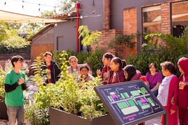Desde shows audiovisuales a exploración en el bioestanque durante los últimos días de junio en MuCi