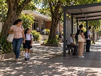 La sombra protege a quienes caminan o aguardan subir al colectivo