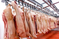 Senacsa impulsa desarrollo del sector porcino