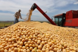 CAPECO alerta que el exceso de lluvias por El Niño puede afectar al agro