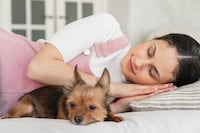 Descanso con mascotas: ¿beneficio o interferencia?