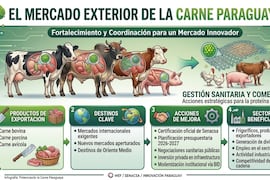 El MEF y Senacsa coordinan acciones para potenciar la carne paraguaya