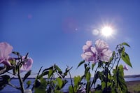 Bajas temperaturas y vientos del sur persistirán durante toda la semana, según la DMH