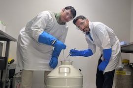 Biotecnólogo paraguayo lidera el primer banco genético de koalas
